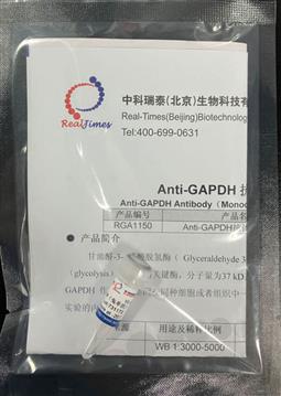 Anti-GAPDH抗體（兔單抗）